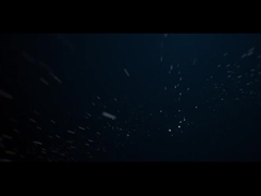 IP66 Luz de paisagem LED exterior 10W COB Iluminação de espigas de jardim de árvores