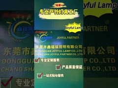 Porque é que a Joyful Lamp é confiável para mais de cem clientes?