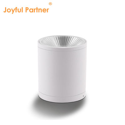 Iluminação de parede montada em cilindro escuro LED para jardim exterior Iluminação diurna COB Al Material com serviços OEM