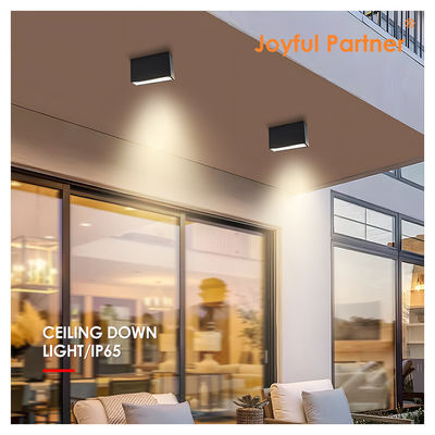 LED Down Light SMD Tecto Superfície Alumínio 5w 10w Ângulo de feixe 60 graus 3000K LED branco quente Para porta da frente