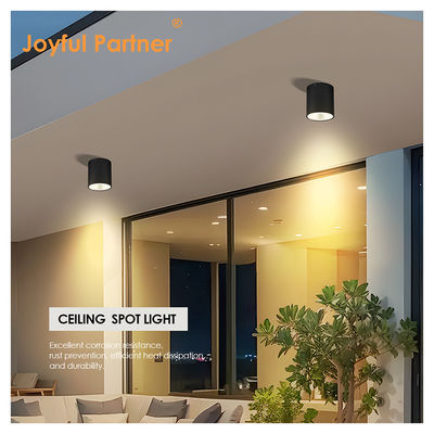Iluminação de parede montada em cilindro escuro LED para jardim exterior Iluminação diurna COB Al Material com serviços OEM
