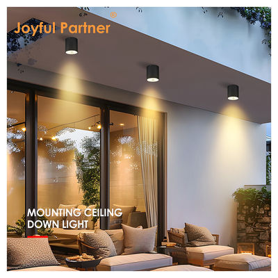 Iluminação de parede montada em cilindro escuro LED para jardim exterior Iluminação diurna COB Al Material com serviços OEM