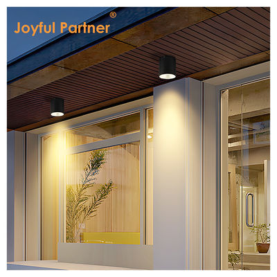 Iluminação de parede montada em cilindro escuro LED para jardim exterior Iluminação diurna COB Al Material com serviços OEM