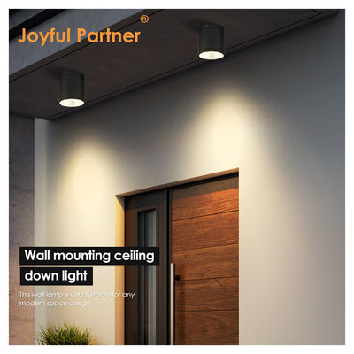 Iluminação de parede montada em cilindro escuro LED para jardim exterior Iluminação diurna COB Al Material com serviços OEM